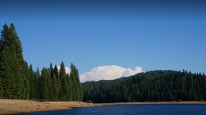 Stumpy Meadows Campground 4
