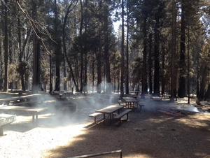 Black Oak Group Campground 4