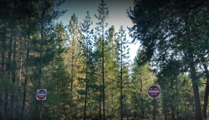 Dru Barner Campground 3
