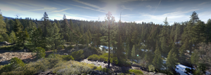 Airport Flat Campground 2
