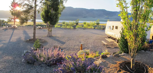 Big Silver Group Campground 2