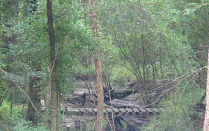 Tanger Woods2