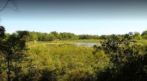 Twin Mill3