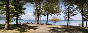 Cove Creek1