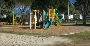 77