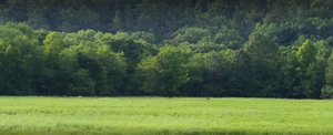 Littlenorth3