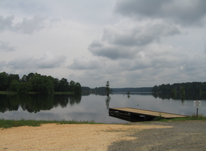 Whiteoak1