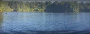 Finger Lake3