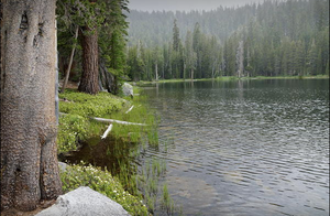 107 2