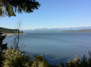 Kitsap1