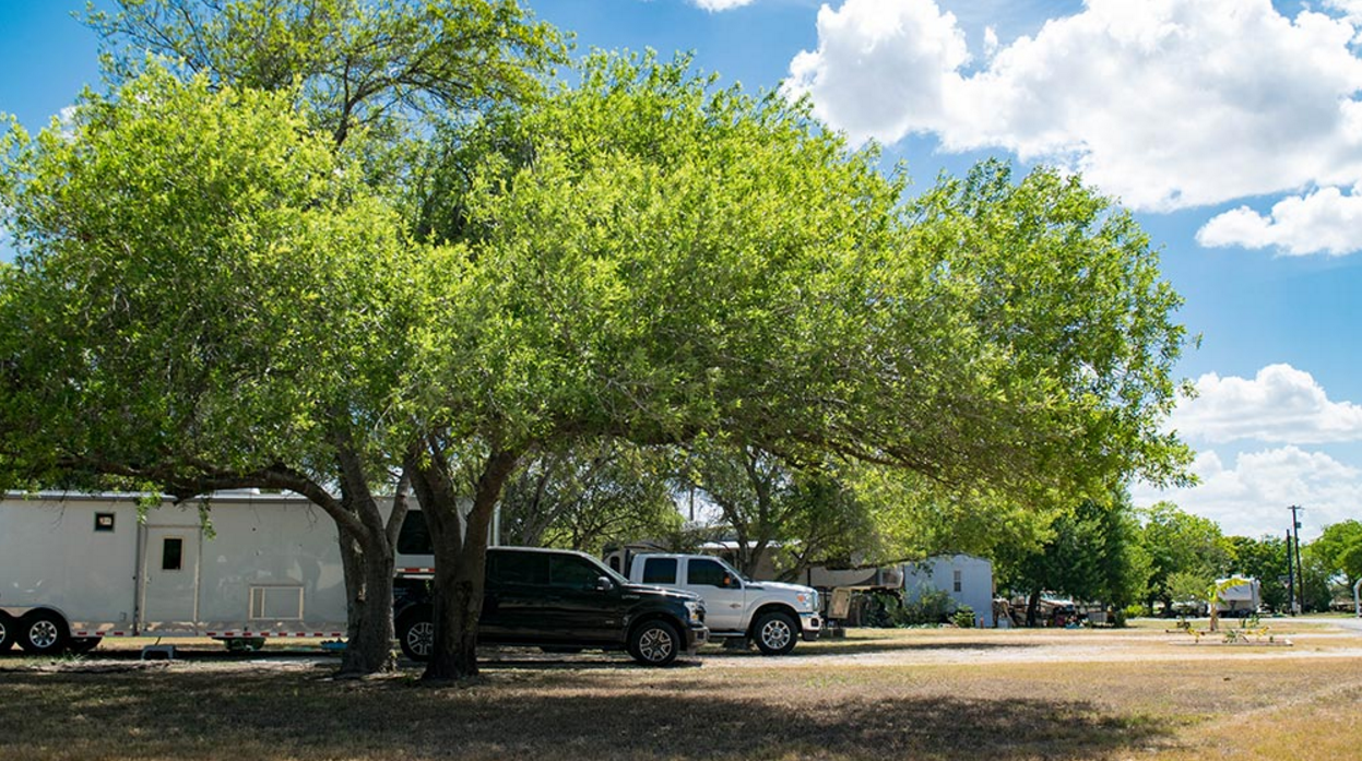 Paisano Mobile Home Park 5 Photos Alice, TX RoverPass