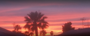 Sunscape