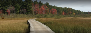Chocorua Camping3