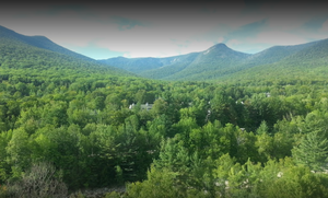 White Mountain2