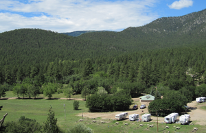 Coyota2