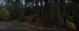 611 3