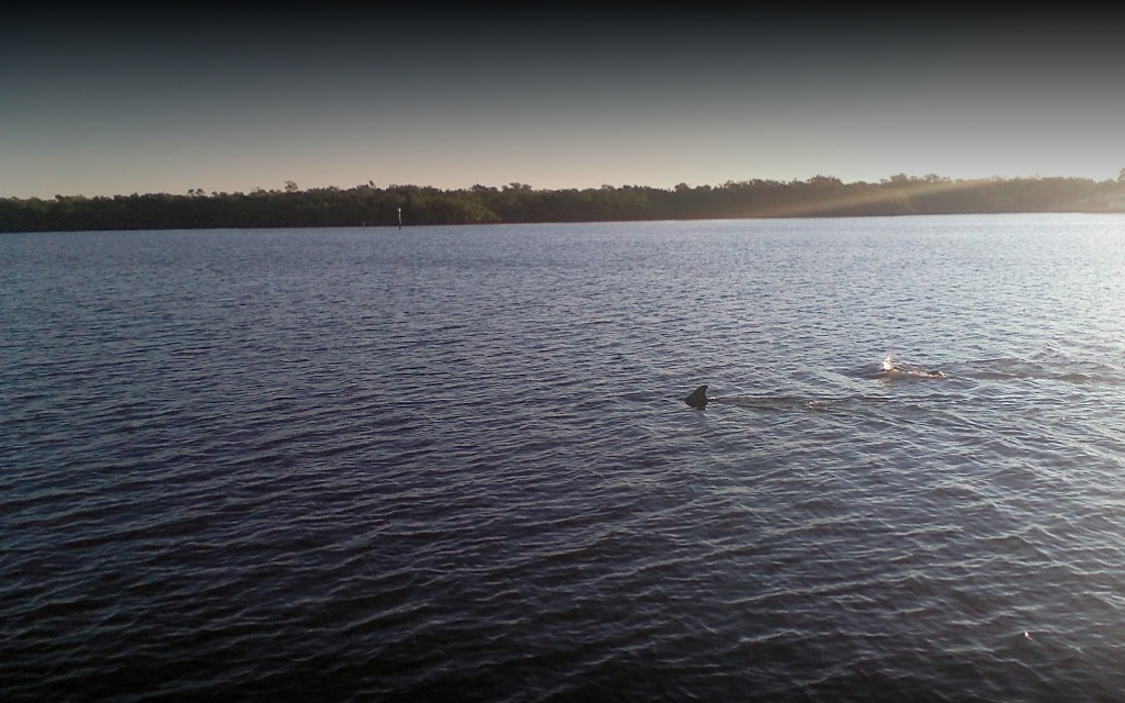 Ebb Tide RV Park 5 Photos Fort Myers Beach, FL RoverPass
