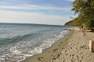Beach At South Whidbey State Park