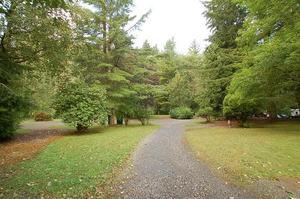 Friday Creek Campground2