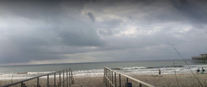 Myrtle1