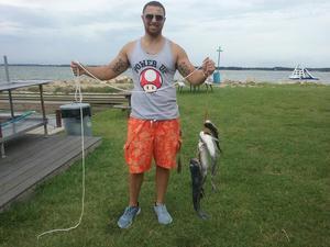 Fish8717