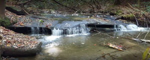 Stone Mountain Campground 4