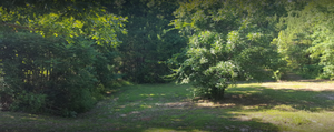 Meridian East Koa 2