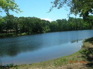 Lake1