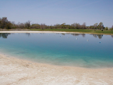 Swim Pond
