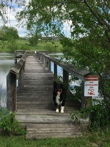 Pony Express Rv Park   Campground Maysville Mo 7