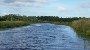 White S Bayou Rv Park Pearlington Ms 35