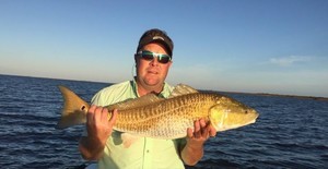 White S Bayou Rv Park Pearlington Ms 36