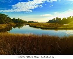White S Bayou Rv Park Pearlington Ms 37