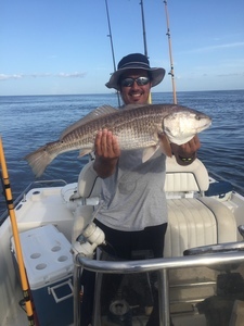 White S Bayou Rv Park Pearlington Ms 42
