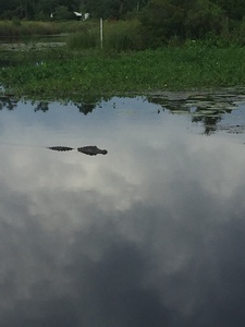 White S Bayou Rv Park Pearlington Ms 45