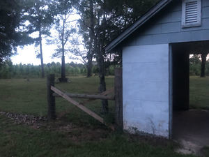 Ya Ya S Lake Seminole Rv Park Bainbridge Ga 10