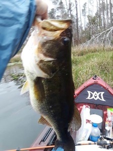 Ya Ya S Lake Seminole Rv Park Bainbridge Ga 14