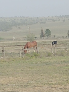 Boutique Barns   Capitan Rv Park Capitan Nm 1