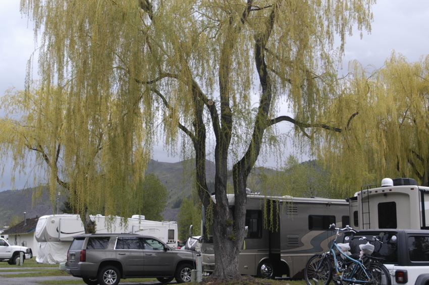 Park Creek Campground Mackay, ID RoverPass