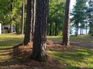 Hidden Treasure Rv Resort Boyce La 31