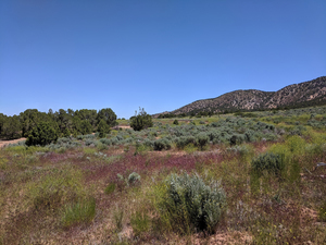 Indian Peaks Rv Park   Campground   Rv Park Cedar City Utah Cedar City Ut 3