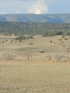 Boutique Barns   Capitan Rv Park Capitan Nm 9