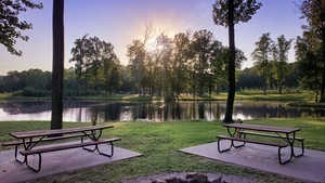 Sycamore Springs Park English In 5