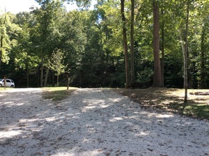 Sycamore Springs Park English In 6