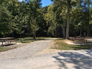 Sycamore Springs Park English In 7