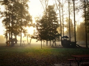 Sycamore Springs Park English In 8