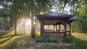 Sycamore Springs Park English In 9