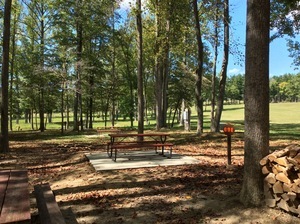 Sycamore Springs Park English In 10
