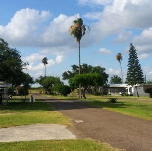 Acacia Rv   Mh Park Alamo Tx 5