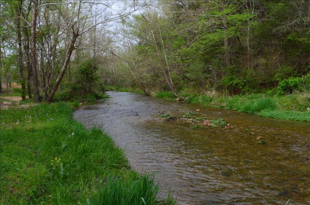 Spring Branch Park 1 Photos Gravois Mills, MO RoverPass